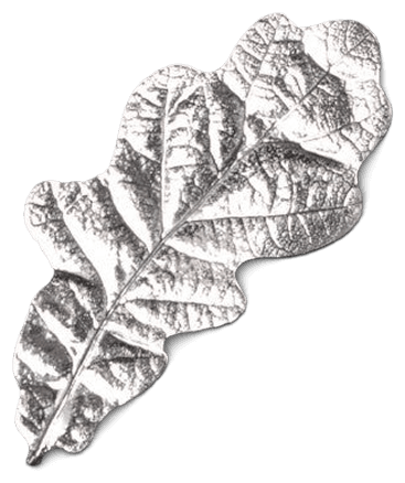 Wear your own oak leaf